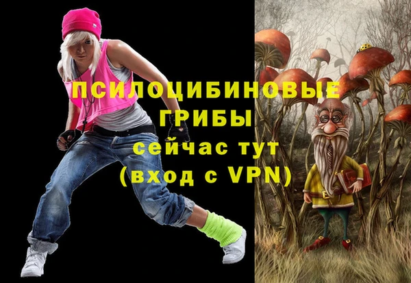 мет Арсеньев
